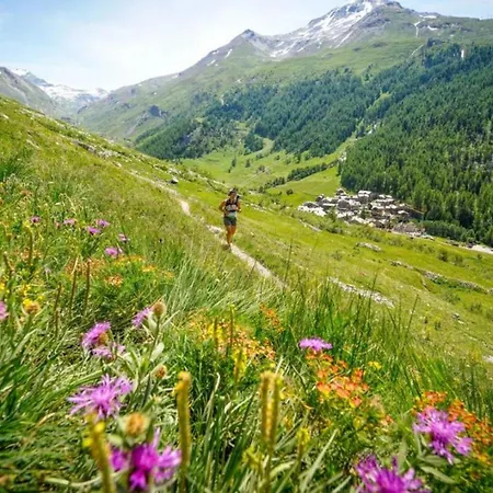 Grepon 6 Incredible Mont Blanc View Apartment *