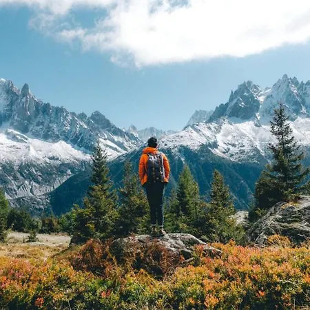 Appartement Grepon 6 Incredible Mont Blanc View *