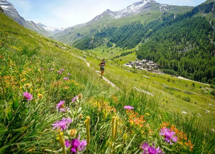 Grepon 6 Incredible Mont Blanc View Lejlighed *